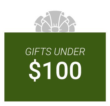 Tennis Gifts $100 And Under