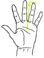 Hand Measure Grip Size
