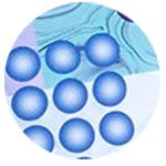 Sofibella UV Colors 13 inch Skirt Womens Multidots 7010 MUL
Sofibella UV Colors 13 inch Skirt image