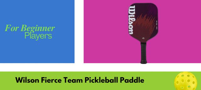 Wilson Fierce Team Pickleball Paddle