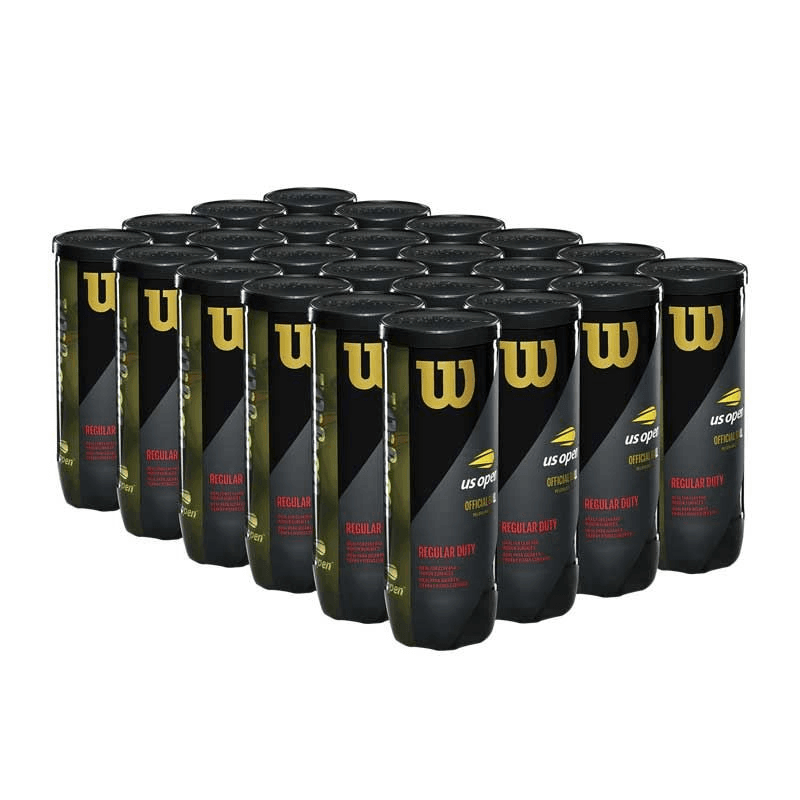 Wilson US Open Regular Duty Tennis Balls Case