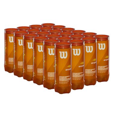 Wilson US Open Orange Tournament Transition Tennis Balls (Case)