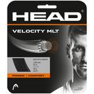 Head Velocity MLT 16G Black Tennis String
