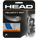 Head Velocity MLT 16G Blue Tennis String