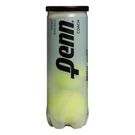 Penn Coach Practice Tennis Balls (Case)
