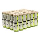 Dunlop ATP Championship Regular Duty Tennis Balls (Case)û601655CS