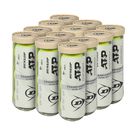 Dunlop ATP Championship (12pk) Extra Duty Tennis Balls Yellow 601671