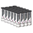Tecnifibre Court Tennis Ball Case