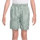 Nike Boys Dri Fit Printed Short Spruce Fog/Barely Green/White IF2436 304