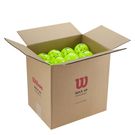 Wilson Max 40 Outdoor Pickleball CASE (48pk) Neon Green WR8909901001