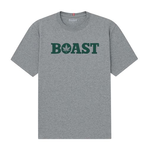 Boast Tee Shirt Mens Heather Grey/Green 1T2301 053image