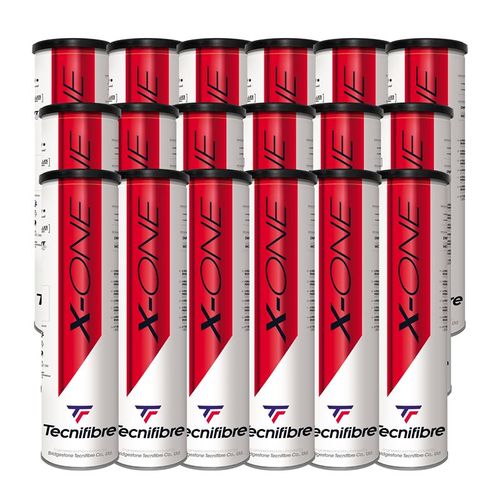 Tecnifibre X-One Tennis Ball Case
image